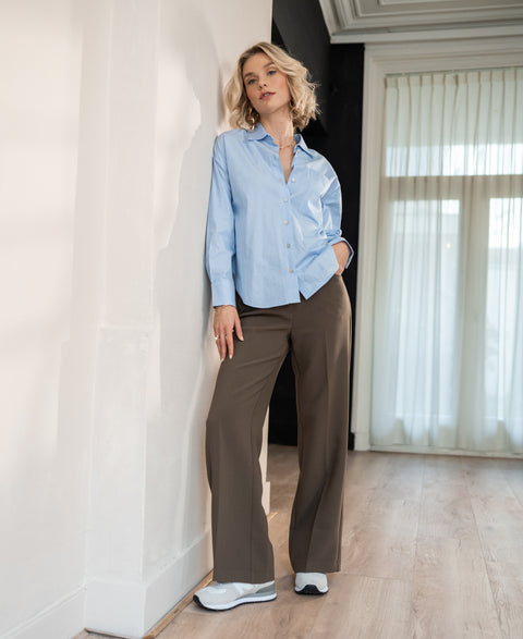 Wide leg trousers LE HENRI Mud